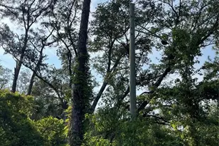 14004 Bradham Rd, Jacksonville, FL 32226 - Photo 6