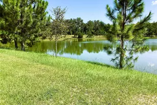 149 SW Bellflower Dr, Lake City, FL 32024 - Photo 6