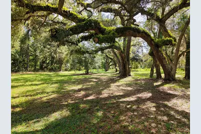 11 NE 434th Street, Old Town, FL 32680 - Photo 2