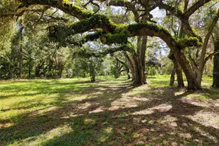 11 NE 434th St, Old Town, FL 32680 - Photo 2