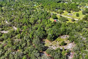 12751 NE 113th Terrace, Archer, FL 32618 - Photo 36