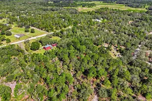 12751 NE 113th Terrace, Archer, FL 32618 - Photo 34
