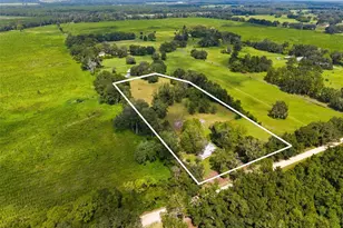 6218 SW 202nd St, Newberry, FL 32669 - Photo 60