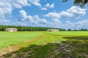 4261 NW 57th Ct, Chiefland, FL 32626 - Photo 10