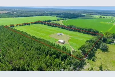 4261 NW 57th Court, Chiefland, FL 32626 - Photo 52