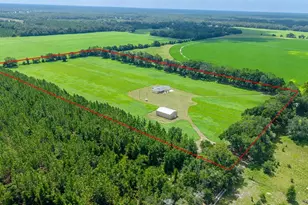4261 NW 57th Ct, Chiefland, FL 32626 - Photo 52