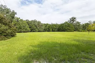 22304 NE 35 Ave, Melrose, FL 32666 - Photo 38