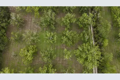 19922 NW 131st Place, Alachua, FL 32615 - Photo 78