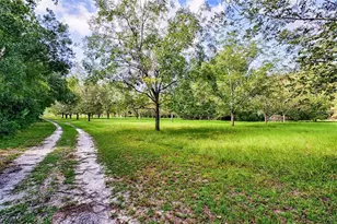 19922 NW 131st Pl, Alachua, FL 32615 - Photo 76