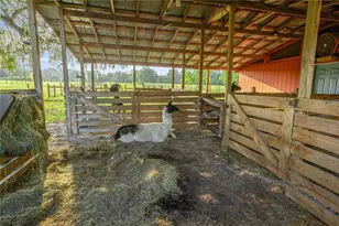 15027 SW 91st St, Archer, FL 32618 - Photo 32