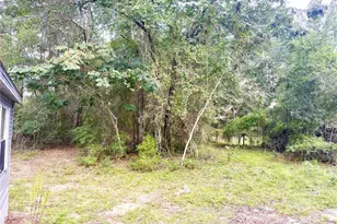 11091 NE 107th Terrace, Archer, FL 32618 - Photo 28