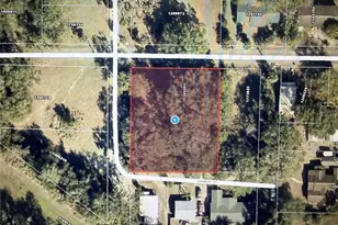1101 E Magnolia St, Leesburg, FL 34748 - Photo 1