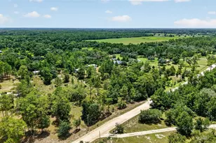 7131 NE 138 Terrace, Williston, FL 32696 - Photo 58