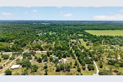 7131 NE 138th Terrace, Williston, FL 32696 - Photo 60