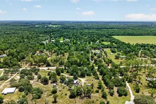 7131 NE 138 Terrace, Williston, FL 32696 - Photo 60