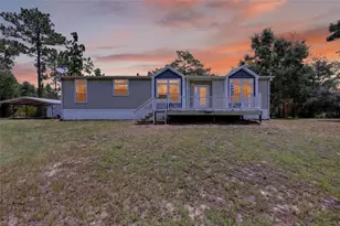 7131 NE 138 Terrace, Williston, FL 32696 - Photo 1
