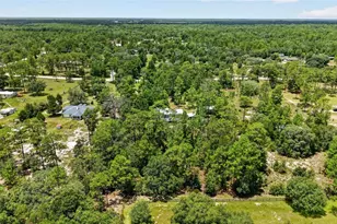 7131 NE 138 Terrace, Williston, FL 32696 - Photo 62
