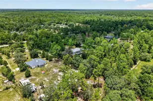 7131 NE 138 Terrace, Williston, FL 32696 - Photo 64