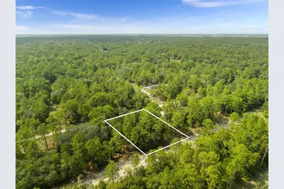 Ne 156th Ct, Williston, FL 32696 - Photo 2