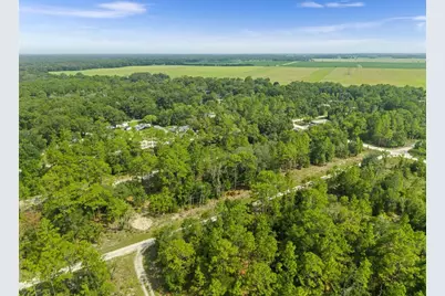Ne 156th Ct, Williston, FL 32696 - Photo 1