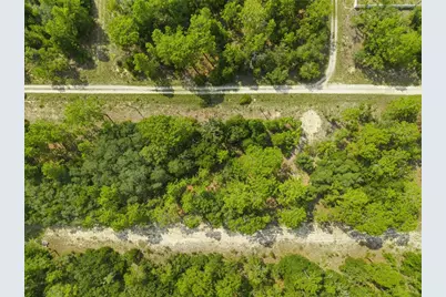 Ne 156th Ct, Williston, FL 32696 - Photo 8