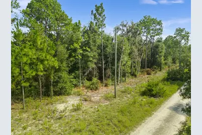 Ne 156th Ct, Williston, FL 32696 - Photo 6