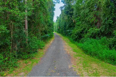 350 SE Bald Eagle Loop, Lake City, FL 32025 - Photo 2