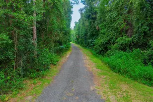 350 SE Bald Eagle Loop, Lake City, FL 32025 - Photo 2