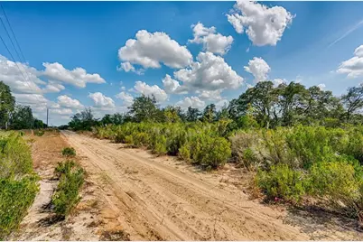 000 NE 68th Place, Williston, FL 32696 - Photo 2