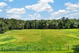 9813 NW State Road 45, High Springs, FL 32643 - Photo 16