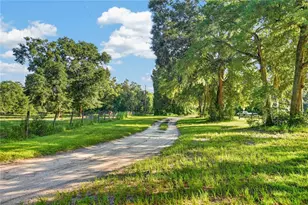 9813 NW State Road 45, High Springs, FL 32643 - Photo 6