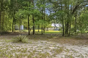 5480 NE 53rd Terrace, High Springs, FL 32643 - Photo 36