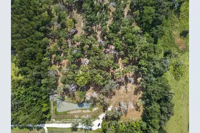 16545 NW 128th Terrace, Reddick, FL 32686 - Photo 22