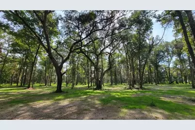 16545 NW 128th Terrace, Reddick, FL 32686 - Photo 2