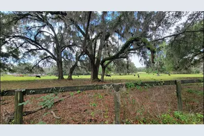 16545 NW 128th Terrace #Lot 36, Reddick, FL 32686 - Photo 42