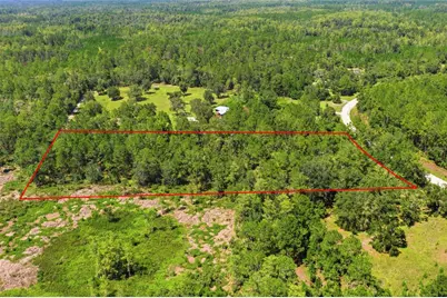 Deep Wood Drive, Trenton, FL 32693 - Photo 8