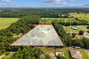 4689 NW 26th St, Bell, FL 32619 - Photo 46