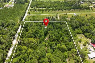25697 21st Rd, O'Brien, FL 32071 - Photo 34