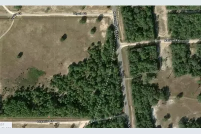 County Road 315C, Melrose, FL 32666 - Photo 2