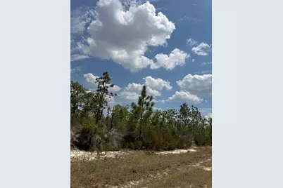 Ne 110th Avenue, Bronson, FL 32621 - Photo 12