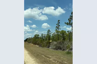 Ne 110th Avenue, Bronson, FL 32621 - Photo 4