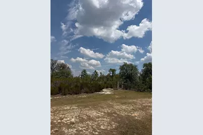 Ne 110th Avenue, Bronson, FL 32621 - Photo 10