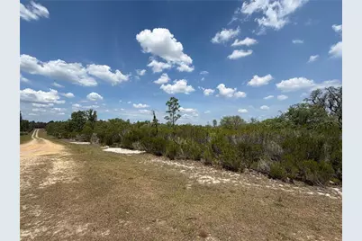 Ne 110th Avenue, Bronson, FL 32621 - Photo 8