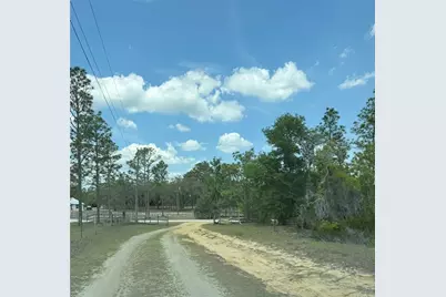 Ne 110th Avenue, Bronson, FL 32621 - Photo 2