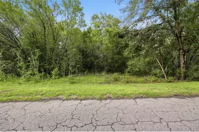 Tbd Bay Court Pass, Ocklawaha, FL 32179 - Photo 8