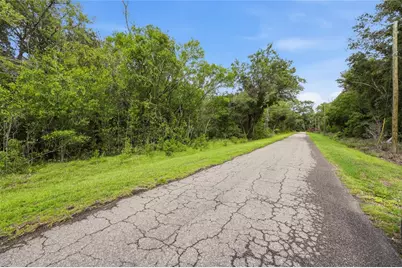 Tbd Bay Court Pass, Ocklawaha, FL 32179 - Photo 6