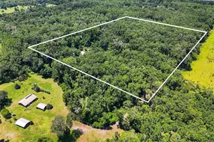 459 S W Bigfoot Ct, Fort White, FL 32038 - Photo 18