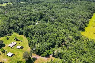 459 S W Bigfoot Ct, Fort White, FL 32038 - Photo 22