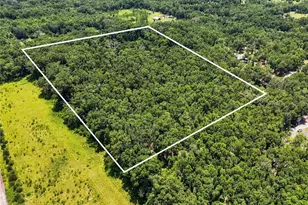 459 S W Bigfoot Ct, Fort White, FL 32038 - Photo 2