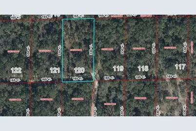 Lot 120 NE 113th Ln, Bronson, FL 32621 - Photo 1